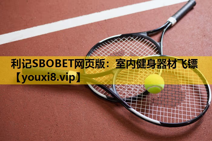 室内健身器材飞镖